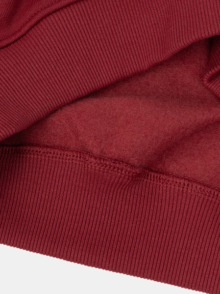 Παιδικό Φούτερ για Αγόρια Burgundy New York