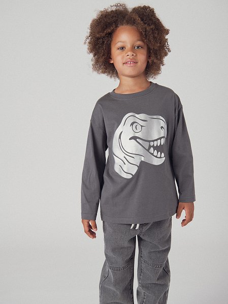 Παιδική Μπλούζα για Αγόρια Grey Dinosaur