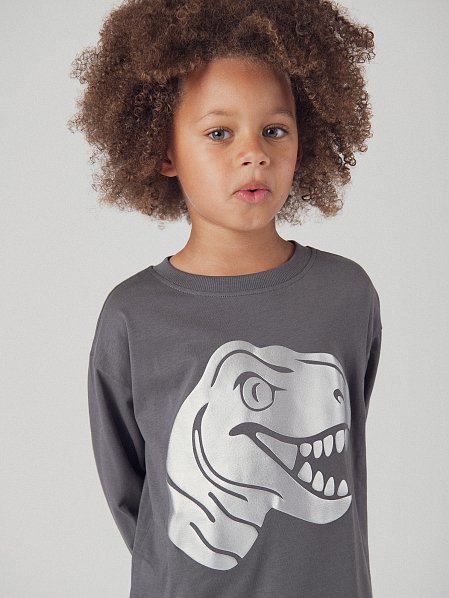 Παιδική Μπλούζα για Αγόρια Grey Dinosaur