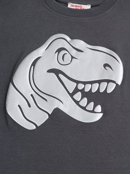 Παιδική Μπλούζα για Αγόρια Grey Dinosaur