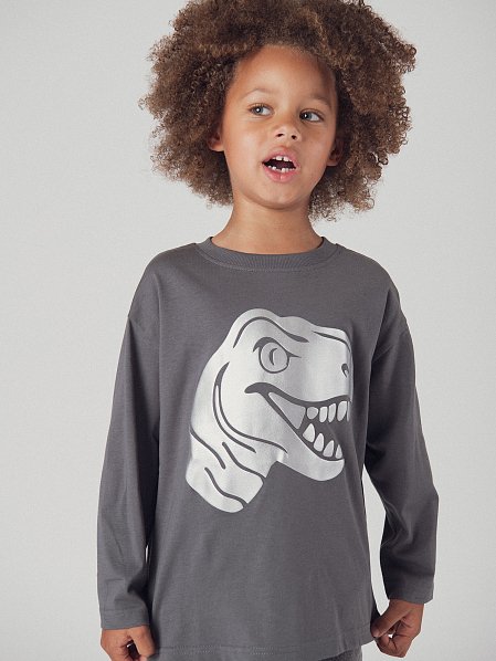 Παιδική Μπλούζα για Αγόρια Grey Dinosaur