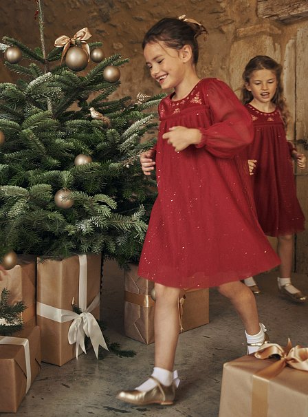 Παιδικό Φόρεμα για Κορίτσια Red Velvet Tulle