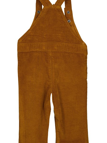 Βρεφική Σαλοπέτα για Αγόρια Brown Champion