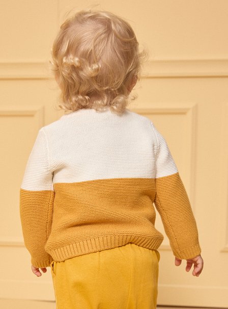 Βρεφικό Πουλόβερ για Αγόρια Two-toned Fox