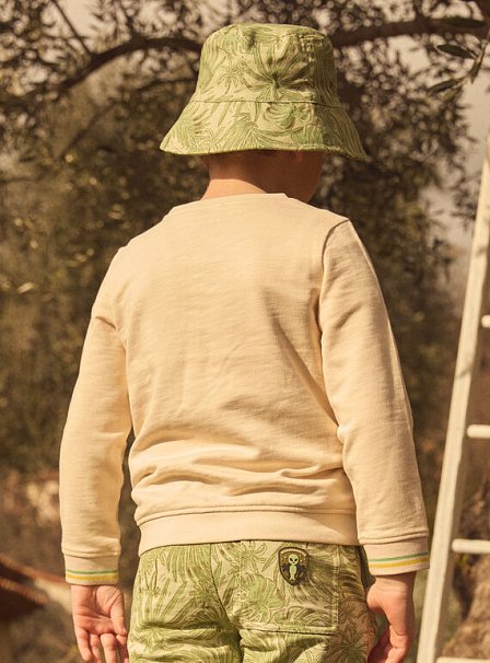 Παιδικό Φούτερ για Αγόρια Paysage Jurassique