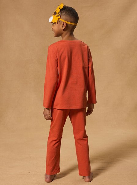 Σετ Παιδικές Πιτζάμες για Αγόρια Orange Tiger