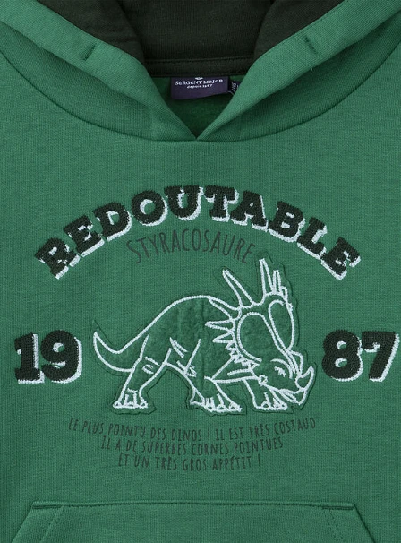 Παιδικό Φούτερ για Αγόρια Green Redoutable