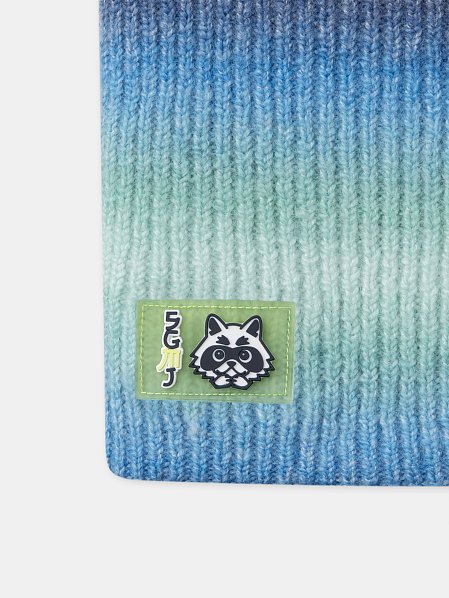 Παιδικός Λαιμός για Αγόρια Degrade Racoon