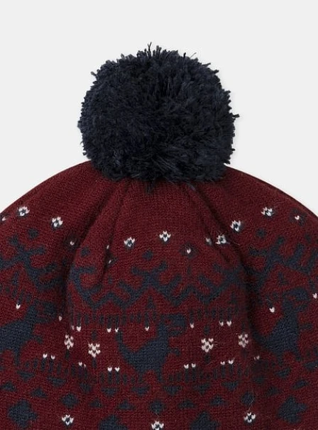 Παιδικός Σκούφος για Αγόρια Burgundy Dino