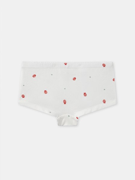 Σετ Παιδικά Εσώρουχα για Κορίτσια Pink Ladybug 3 τμχ