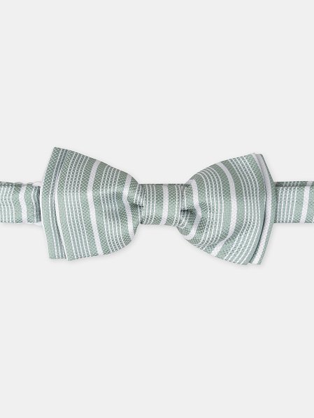 Παιδικό Παπιγιόν για Αγόρια Green Stripes