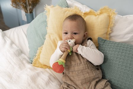 ΠΑΙΧΝΙΔΙ ΚΟΥΔΟΥΝΙΣΤΡΑ SOPHIE Η ΚΑΜΗΛΟΠΑΡΔΑΛΗ