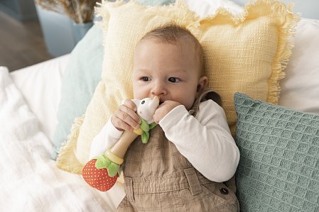 ΠΑΙΧΝΙΔΙ ΚΟΥΔΟΥΝΙΣΤΡΑ SOPHIE Η ΚΑΜΗΛΟΠΑΡΔΑΛΗ