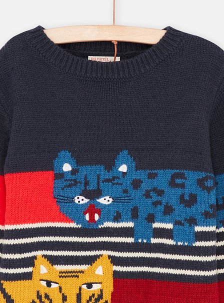 Παιδικό Πουλόβερ γιια Αγόρια Multicolour Tigers