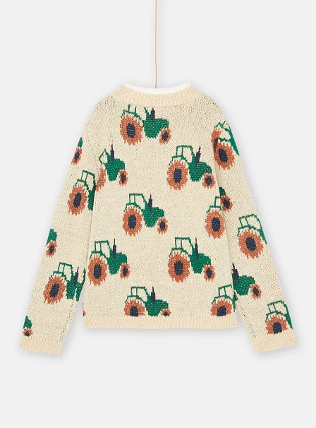 Παιδικό Μακρυμάνικο Πουλόβερ για Αγόρια Beige Daisy