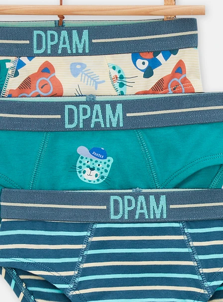 Σετ Παιδικά Εσώρουχα για Αγόρια Cats 3 τμχ