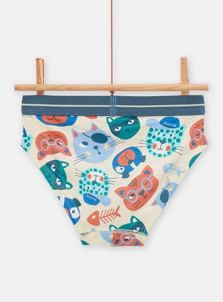 Σετ Παιδικά Εσώρουχα για Αγόρια Cats 3 τμχ