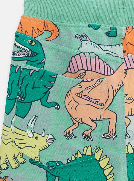 Παιδικό Σορτς για Αγόρια Dino Lover