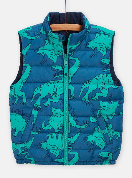 Παιδικό Αμάνικο Μπουφάν για Αγόρια Blue Green Dino