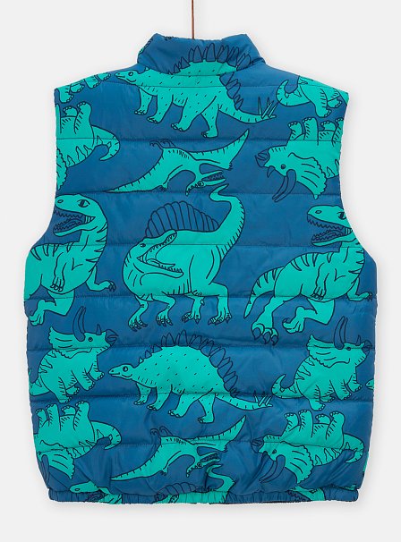 Παιδικό Αμάνικο Μπουφάν για Αγόρια Blue Green Dino
