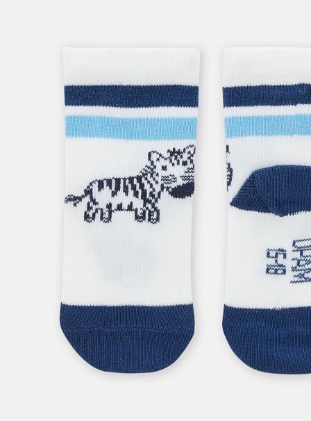 Βρεφικές Κάλτσες για Αγόρια Blue Zebra