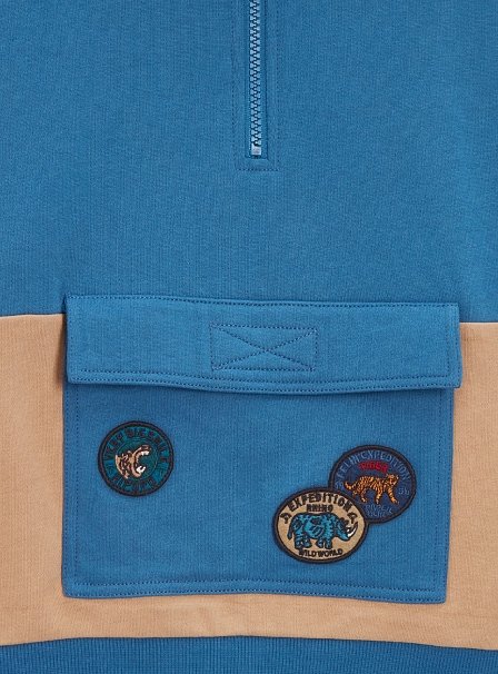 Παιδικό Φούτερ για Αγόρια Tricolour