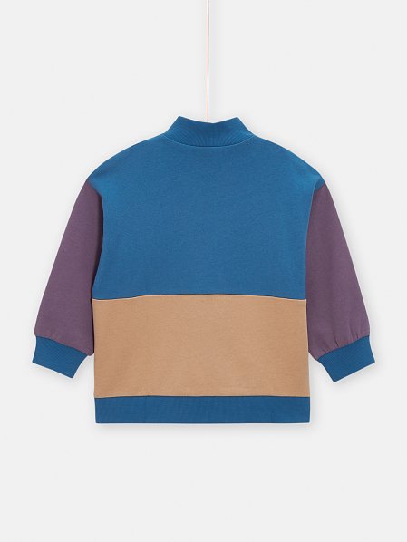 Παιδικό Φούτερ για Αγόρια Tricolour