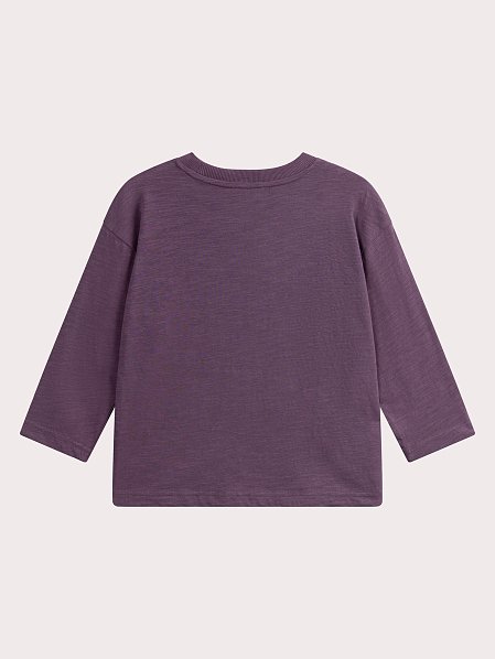 Παιδική Μπλούζα για Αγόρια Purple Tiger