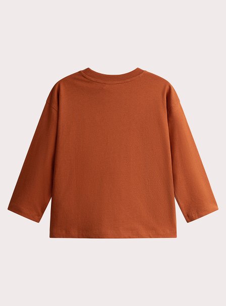 Παιδική Μπλούζα για Αγόρια Orange Dino