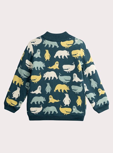 Παιδική Ζακέτα για Αγόρια Blue Arctic