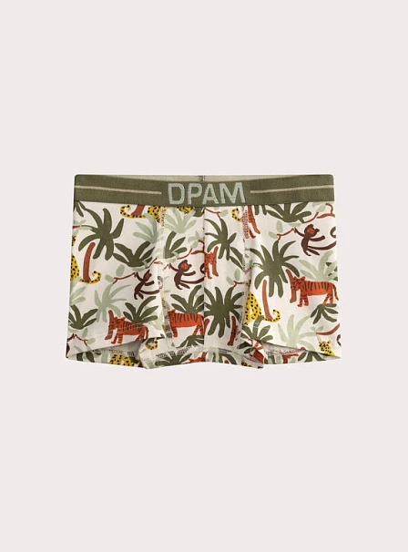 Σετ Παιδικά Εσώρουχα για Αγόρια Chaki Jungle 3 τμχ