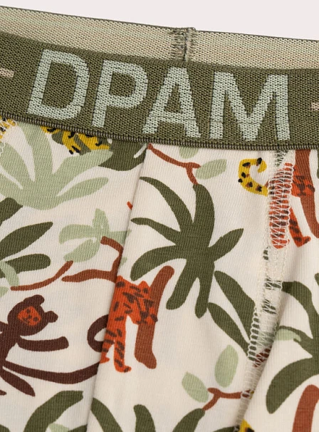 Σετ Παιδικά Εσώρουχα για Αγόρια Chaki Jungle 3 τμχ