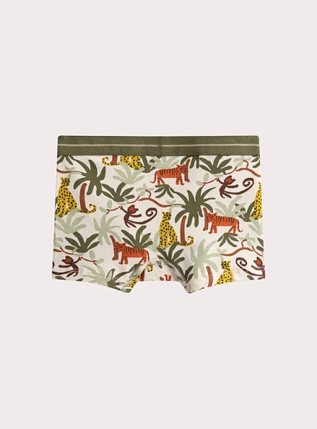 Σετ Παιδικά Εσώρουχα για Αγόρια Chaki Jungle 3 τμχ