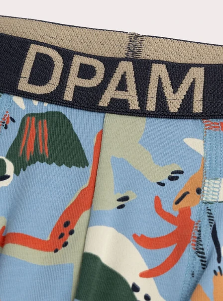 Σετ Παιδικά Εσώρουχα για Αγόρια Dino Verse 5 τμχ