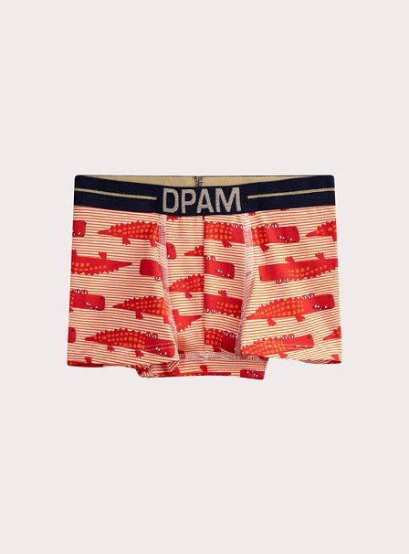 Σετ Παιδικά Εσώρουχα για Αγόρια Multi Alligators 5 τμχ