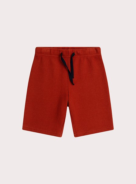 Παιδικό Σετ για Αγόρια Red Dinosaurs