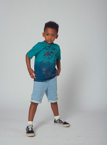 Παιδική Μπλούζα για Αγόρια Ombre T-Rex