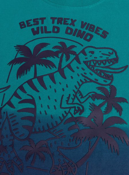 Παιδική Μπλούζα για Αγόρια Ombre T-Rex