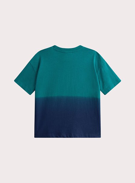 Παιδική Μπλούζα για Αγόρια Ombre T-Rex