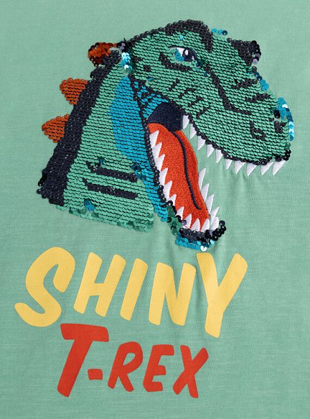 Παιδική Μπλούζα για Αγόρια Shiny T-Rex