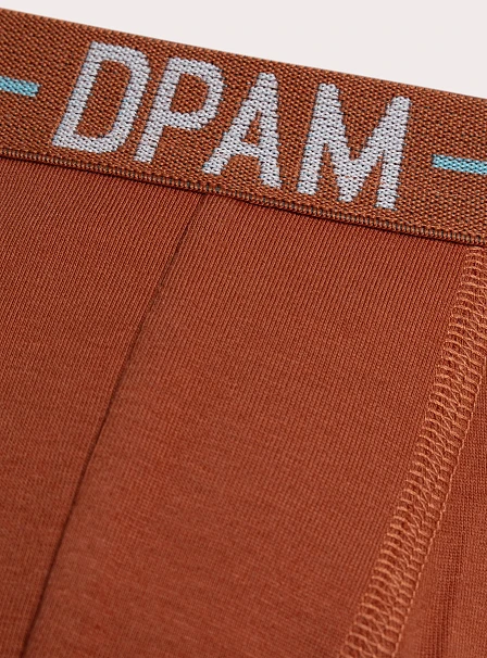 Σετ Παιδικά Εσώρουχα για Αγόρια Fun Prints 3 τμχ