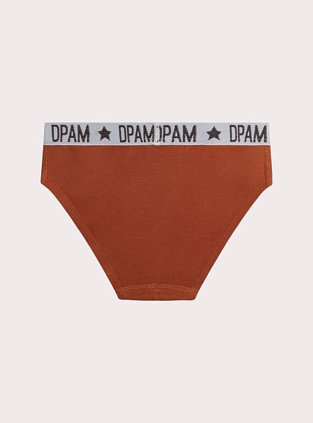 Σετ Παιδικά Εσώρουχα για Αγόρια Cool Leopards 3 τμχ