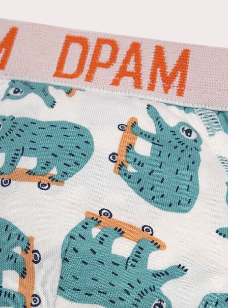 Σετ Παιδικά Εσώρουχα για Αγόρια White Skaters 5 τμχ