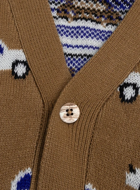 Παιδική Ζακέτα για Αγόρια Brown Cars