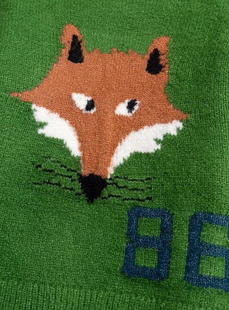 Παιδικό Πουλόβερ για Αγόρια Green Fox