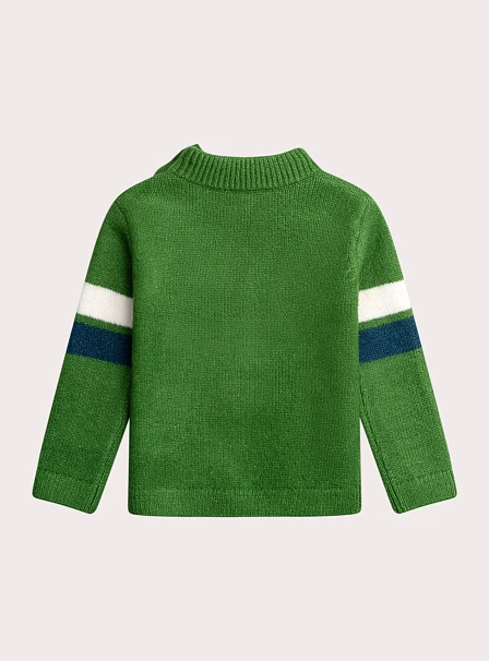 Παιδικό Πουλόβερ για Αγόρια Green Fox