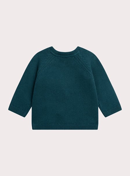 Βρεφικό Πουλόβερ για Αγόρια Cute Fox