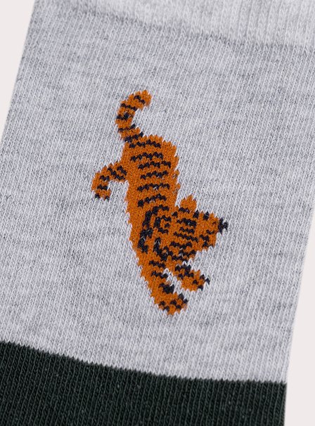 Παιδικές Κάλτσες για Αγόρια