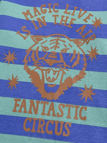 Παιδική Μπλούζα για Αγόρια Stripped Tiger