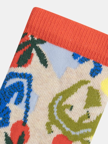 Παιδικές Κάλτσες για Αγόρια Funky Colour